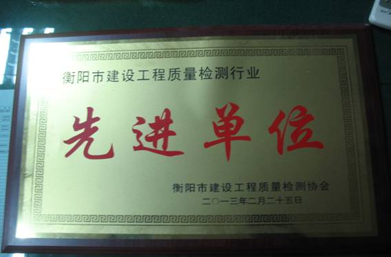 2013年衡阳市协会先进单位证书