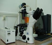 说明: 尼康倒置荧光显微镜-2